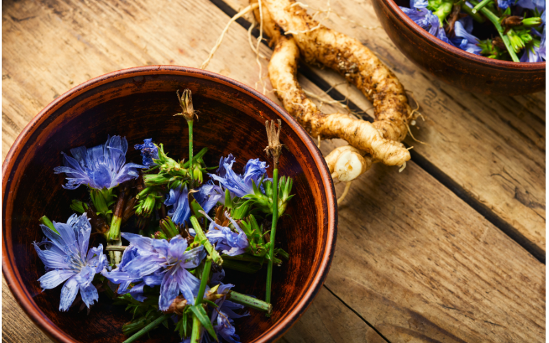 Inulin: Der natürliche Weg zu einem gesunden Darm
