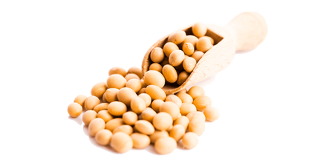 Phosphatidylserine