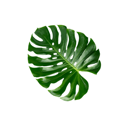 Collagen Formula - 60 Portions